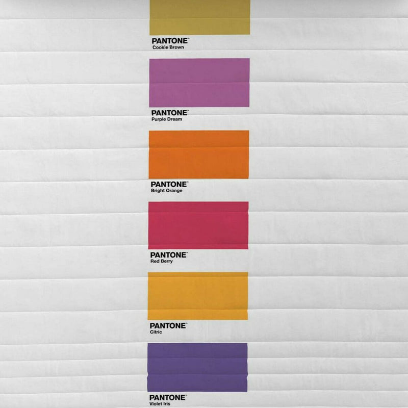 Colcha Fun Deck Pantone