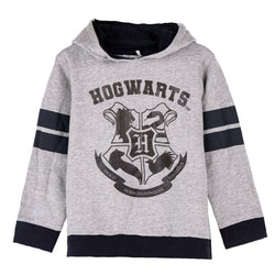 Sudadera con Capucha Niño Harry Potter Gris